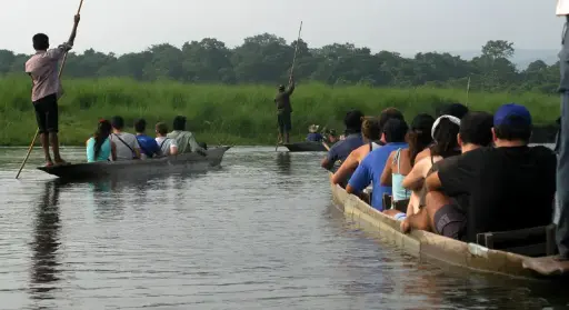 Jungle Safari 